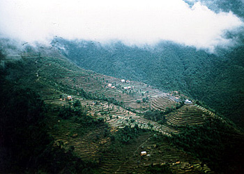 Nepal: Steep slope terraces 03_steepslope