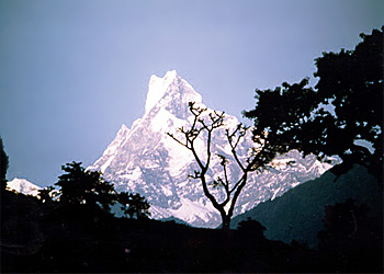 Nepal: The mountain Machupachare 08_machupachare